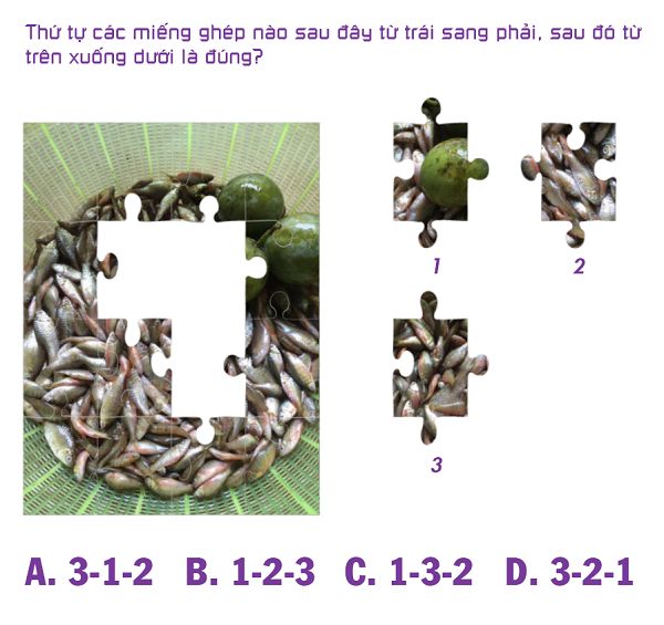 Thứ tự các miếng ghép nào sau đây là đúng?