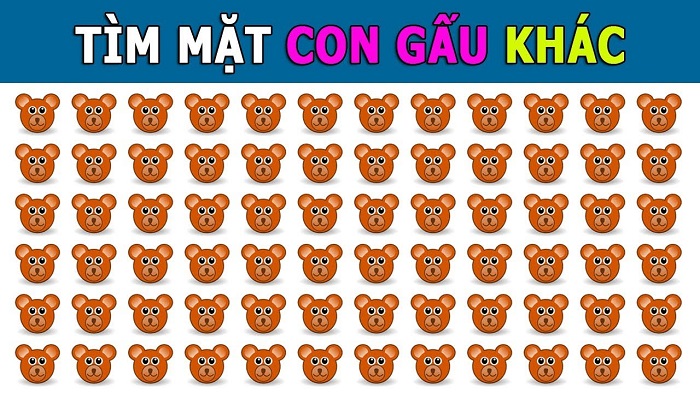 Tìm mặt con gấu khác