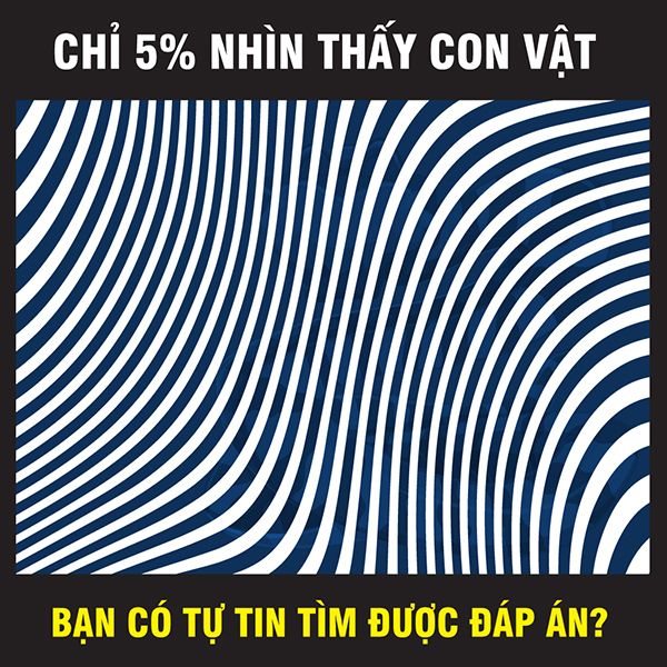 Chỉ 5% người xem nhìn thấy con vật ẩn trong bức hình! Còn bạn thì sao?