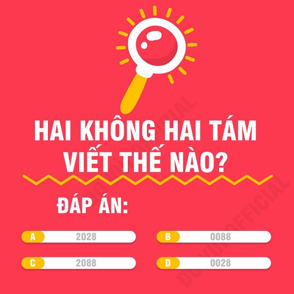 Hai không hai tám viết thế nào là đúng nhỉ?