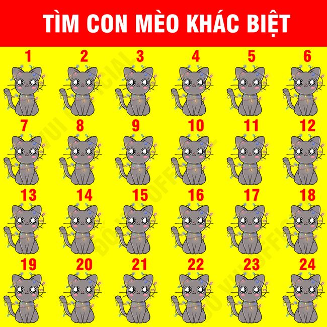 Tìm con mèo khác biệt?