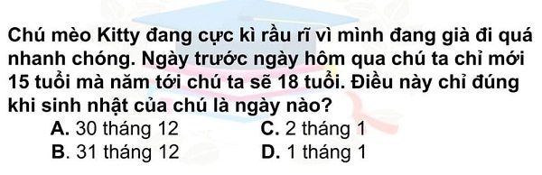 Tìm ngày sinh nhật của chú mèo Kitty?