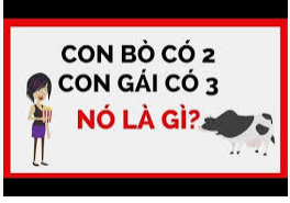 Con bò có 2, con gái có 3. Nó là gì?