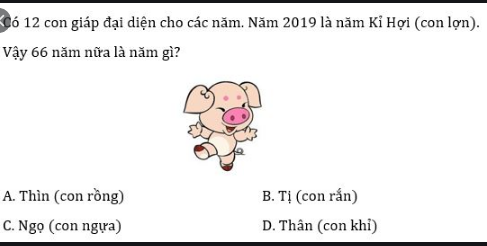 Có 12 con giáp đại diện cho các năm, năm 2019 là năm Kỷ Hợi