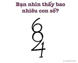 Các bạn nhìn thấy bao nhiêu số có trong hình?