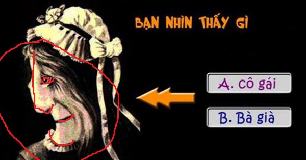 Bạn nhìn thấy gì: Cô gái hay bà già?