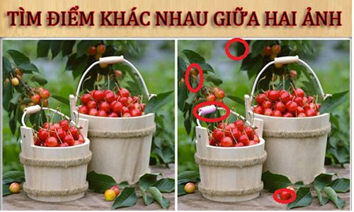 Tìm điểm khác nhau giữa hai ảnh