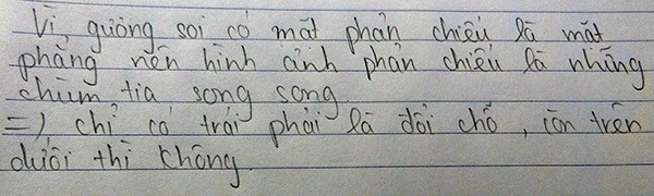 Tại sao khi soi gương, vị trí trái phải đổi chỗ cho nhau mà không phải là trên dưới?