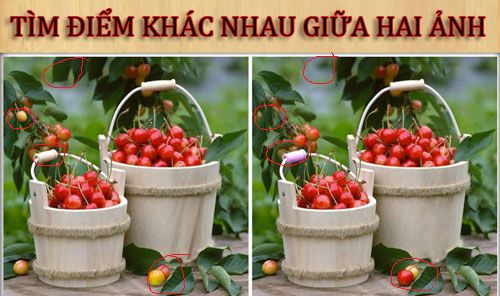 Tìm điểm khác nhau giữa hai ảnh