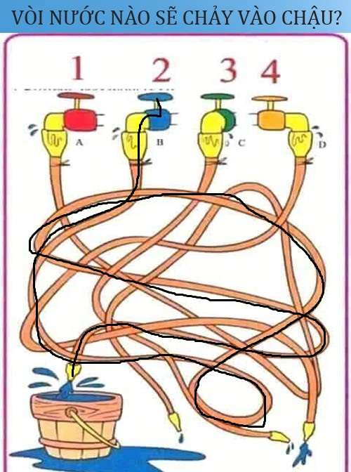 Vòi nước nào sẽ chảy vào chậu?