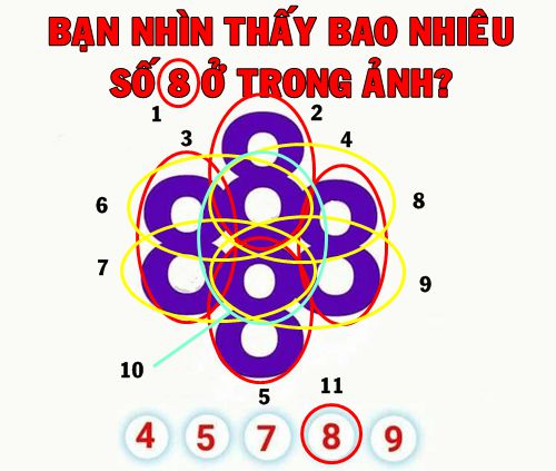 Có bao nhiêu số 8 trong hình ảnh này?