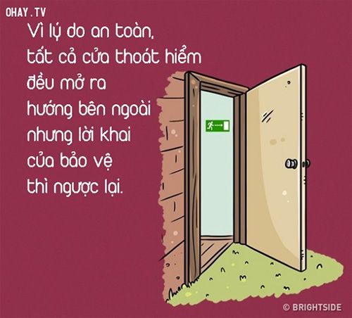 Tại sao anh nhân viên bảo vệ bị cảnh sát bắt?