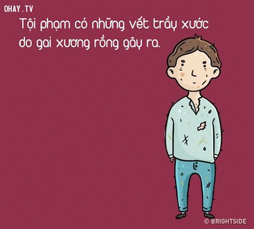 Một ngân hàng bị cướp. Trong một vài giờ, số tiền đã được tìm thấy trong vườn cây xương rồng