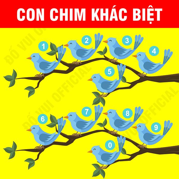 Bạn có tìm được con chim khác biệt?