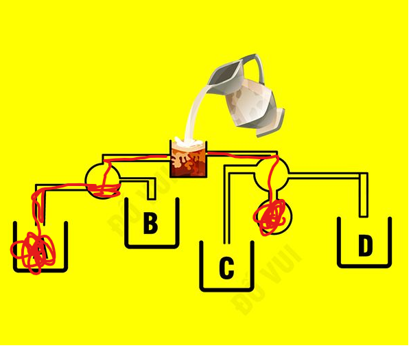 Cốc nào đầy cafe trước?