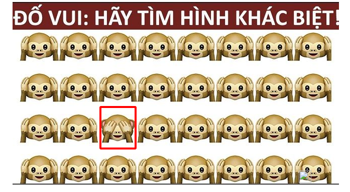 Hãy tìm chú khỉ khác biệt?