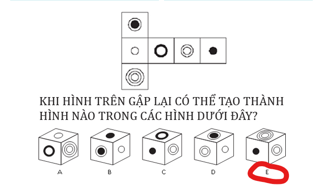 Khi hình trên gập lại có thể tạo thành hình nào trong các hình dưới đây