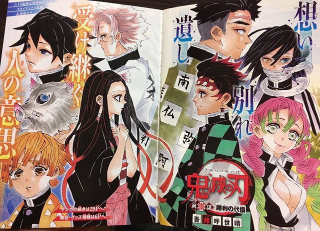 Bạn có hóng chap 201 của Kimetsu no yaiba không?