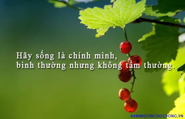 Mấy bạn ơi! Ai cảm thấy mik sống vì chính bản thân mình thì vào t: Hội girl sống vì mình. Nếu thích thì vào liền. Không bấm ok sẽ vào mà chuồn đi không xong đâu! Gửi cho ảnh nhóm nek!