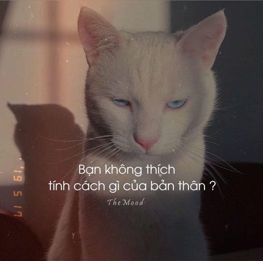 Bạn không thik tính cách của bản thân?