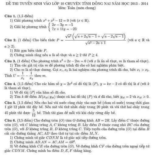 Đề thi tuyển sinh vào Lớp 10 THPT Chuyên Tỉnh Đồng Nai - Môn Toán (Chung) - Năm học 2013-2014,đề thi vào 10,đề thi tuyển sinh vào 10 THPT,đề thi tuyển sinh vào 10 môn toán năm 2013,đề thi tuyển sinh vào 10 môn toán tỉnh Đồng Nai năm 2013