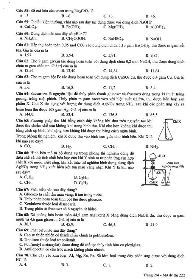 Đề thi môn Hóa mã đề 222 - Tốt nghiệp THPT 2024,Đề thi môn Hóa Tốt nghiệp THPT 2024