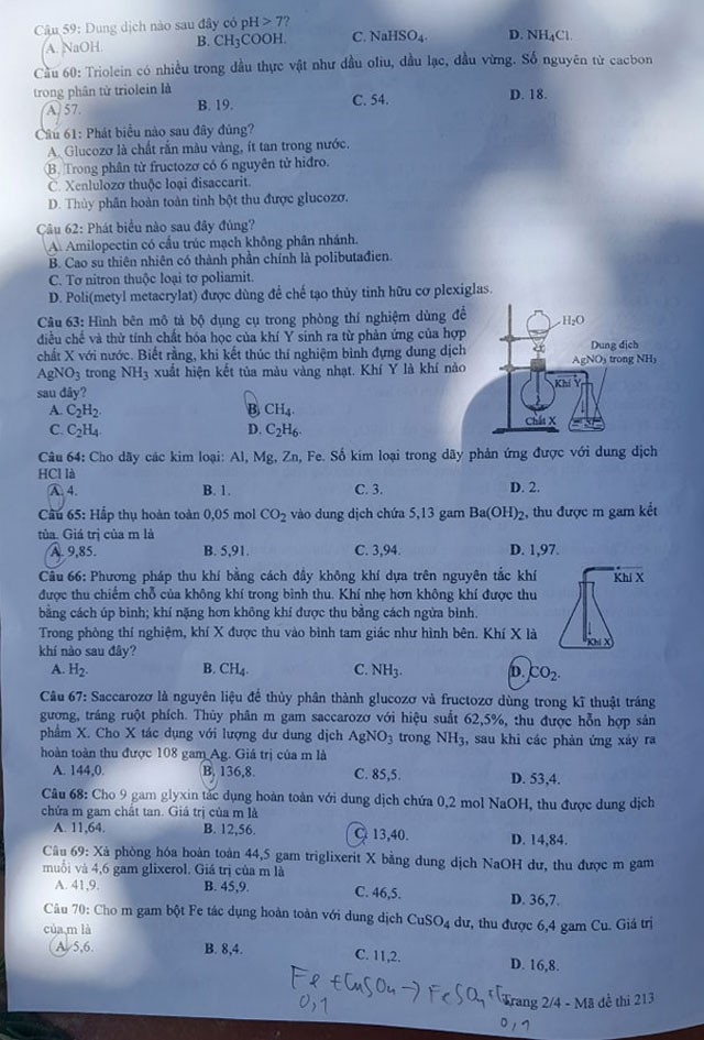 Đáp án đề thi môn Hóa mã đề 213 - Tốt nghiệp THPT 2024,Đề thi môn Hóa mã đề 213 - Tốt nghiệp THPT 2024,Đề thi môn Hóa Tốt nghiệp THPT