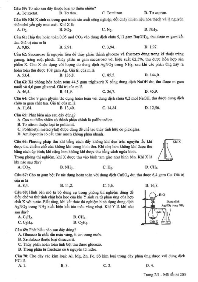 Đáp án đề thi môn Hóa mã đề 205 - Tốt nghiệp THPT 2024,Đáp án đề thi môn Hóa Tốt nghiệp THPT 2024,Đề thi môn Hóa Tốt nghiệp THPT 2024