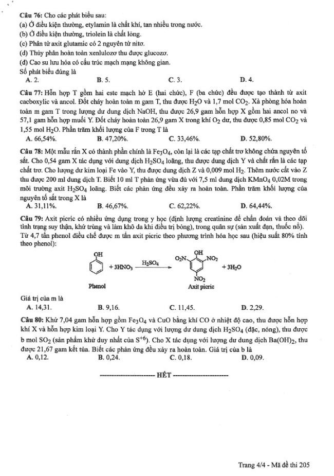 Đáp án đề thi môn Hóa mã đề 205 - Tốt nghiệp THPT 2024,Đáp án đề thi môn Hóa Tốt nghiệp THPT 2024,Đề thi môn Hóa Tốt nghiệp THPT 2024