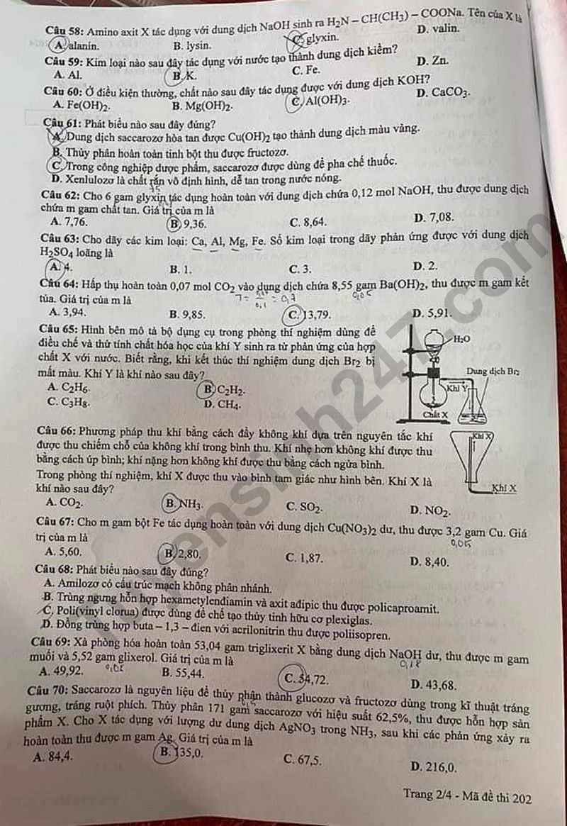 Đáp án đề thi môn Hóa mã đề 202 - Tốt nghiệp THPT 2024,Đề thi môn Hóa mã đề 202 - Tốt nghiệp THPT 2024,Đề thi môn Hóa Tốt nghiệp THPT