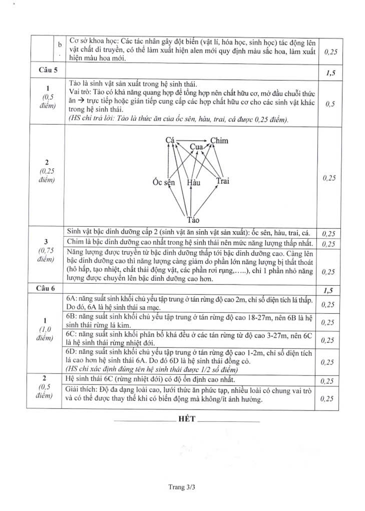 Đề thi vào 10 môn Sinh trường THPT chuyên ĐHSP Hà Nội năm 2024,Đề thi vào 10 môn Sinh học