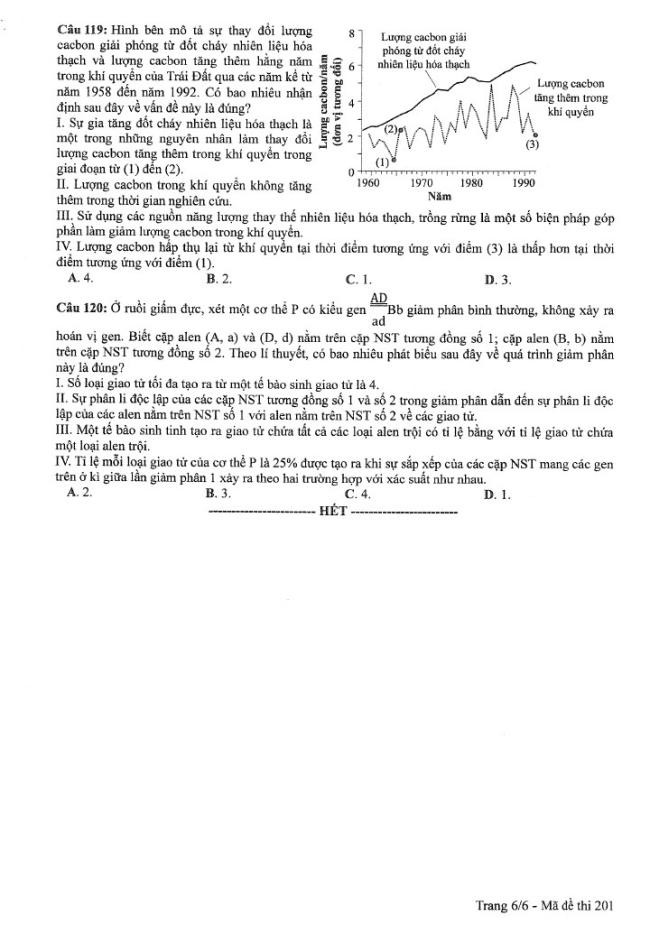 Đề thi môn Sinh Học mã đề 201 - Tốt nghiệp THPT 2024,Đề thi môn Sinh Học Tốt nghiệp THPT 2024
