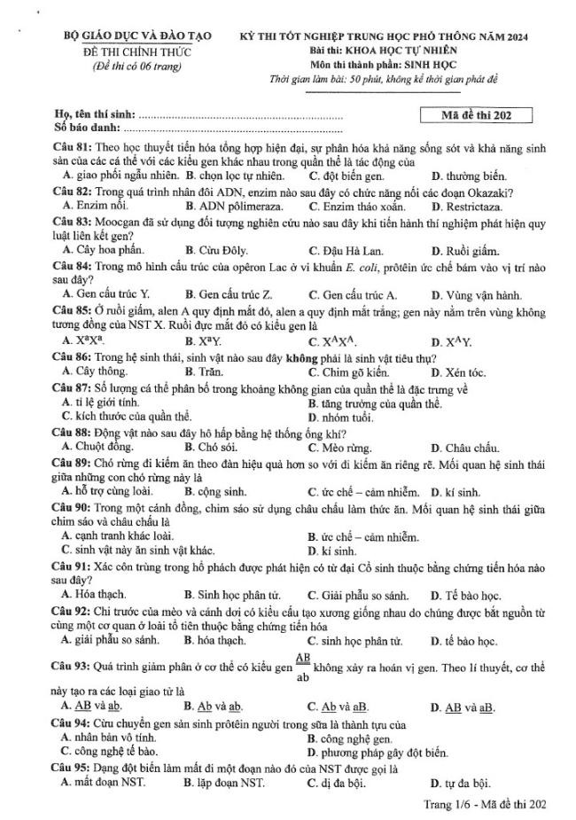 Đề thi môn Sinh Học mã đề 202 - Tốt nghiệp THPT 2024,Đề thi môn Sinh Học Tốt nghiệp THPT 2024