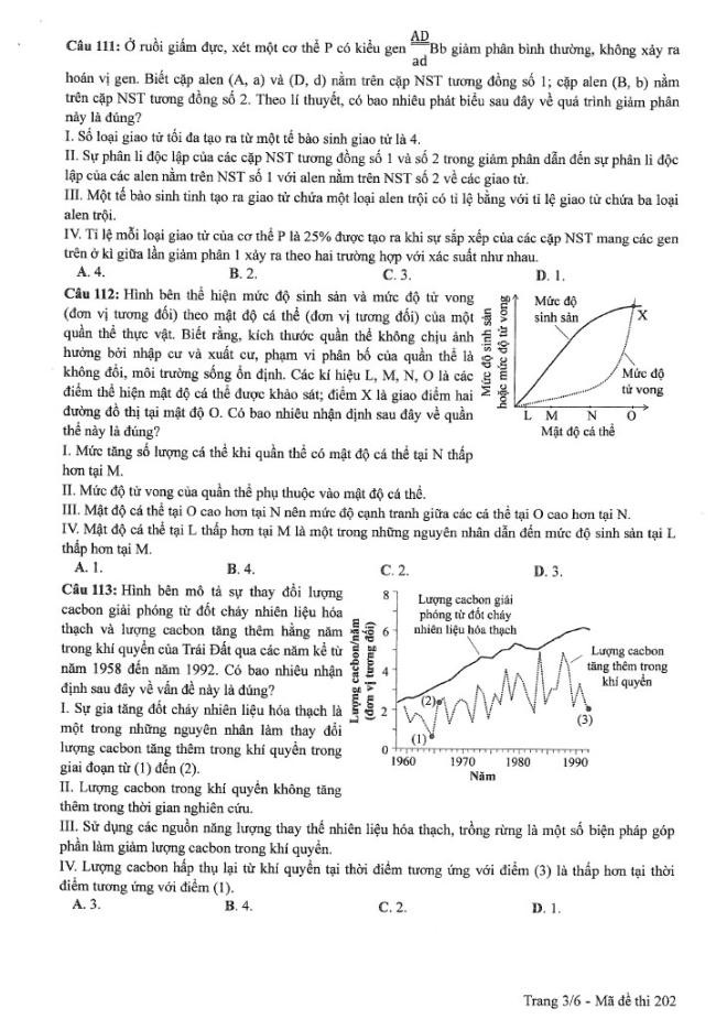 Đề thi môn Sinh Học mã đề 202 - Tốt nghiệp THPT 2024,Đề thi môn Sinh Học Tốt nghiệp THPT 2024