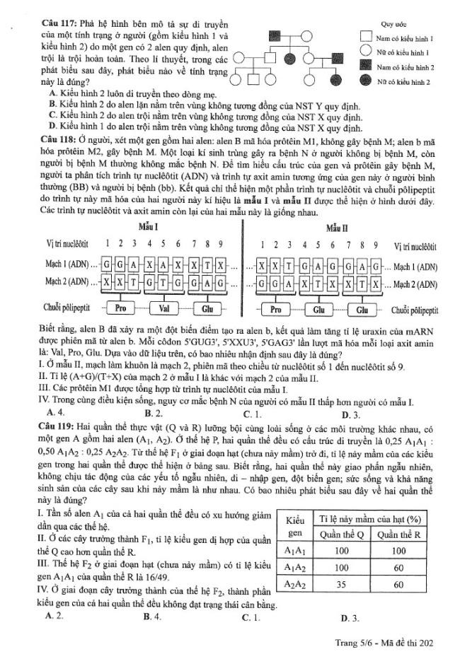 Đề thi môn Sinh Học mã đề 202 - Tốt nghiệp THPT 2024,Đề thi môn Sinh Học Tốt nghiệp THPT 2024