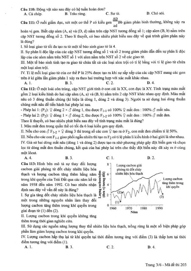 Đề thi môn Sinh Học mã đề 203 - Tốt nghiệp THPT 2024,Đề thi môn Sinh Học Tốt nghiệp THPT 2024