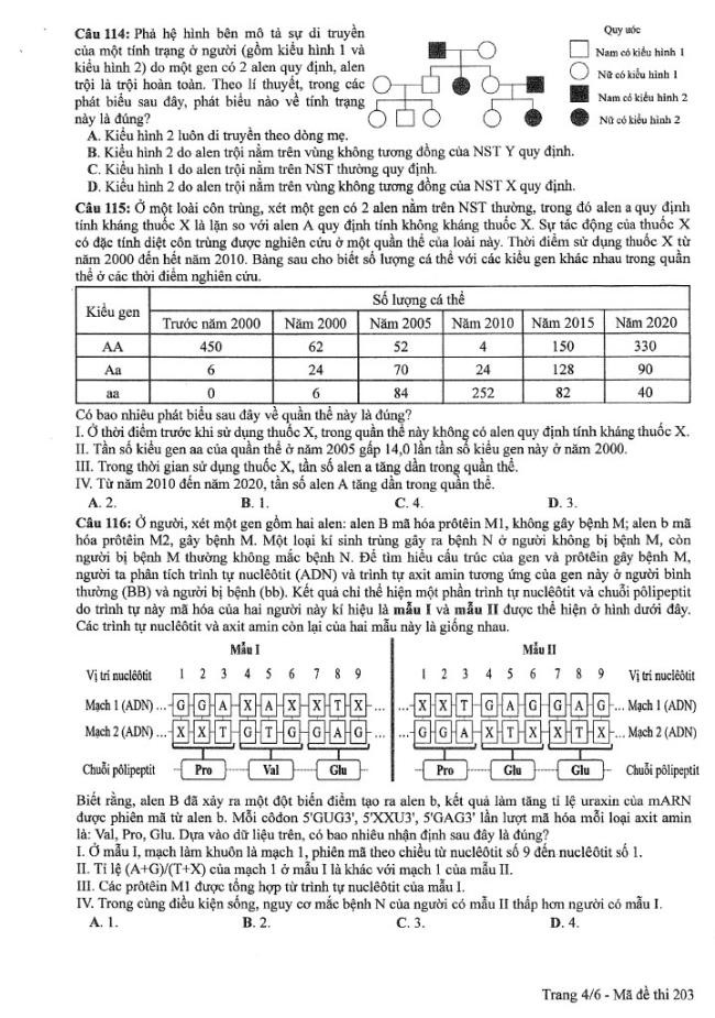 Đề thi môn Sinh Học mã đề 203 - Tốt nghiệp THPT 2024,Đề thi môn Sinh Học Tốt nghiệp THPT 2024