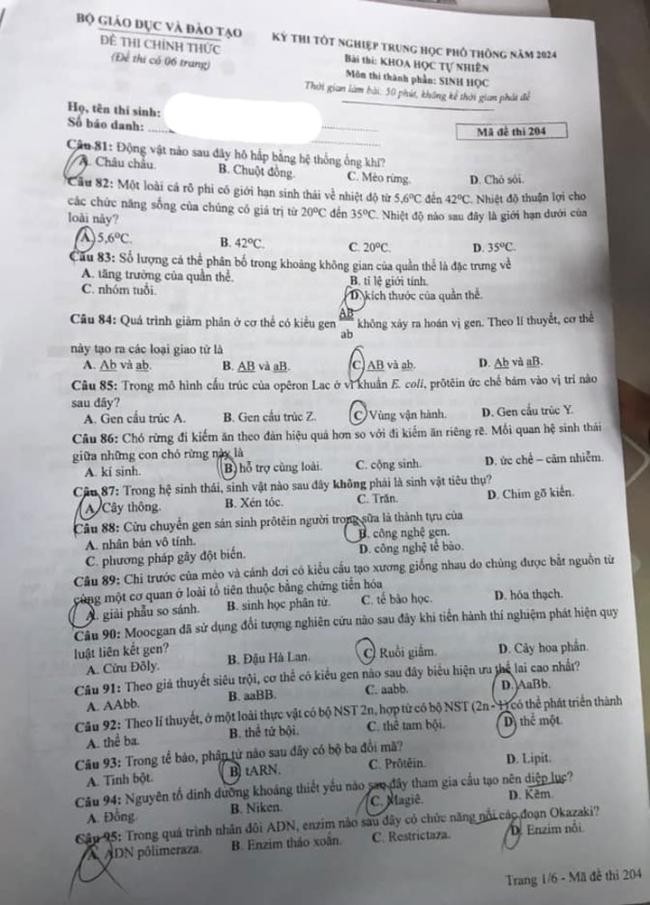 Đề thi môn Sinh Học mã đề 204 - Tốt nghiệp THPT 2024,Đề thi môn Sinh Học Tốt nghiệp THPT 2024