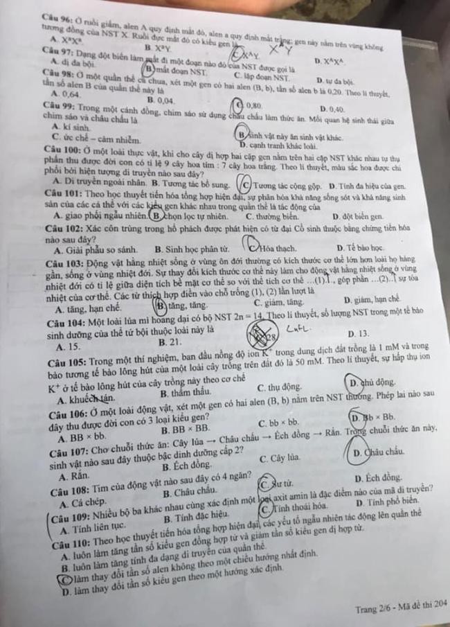 Đề thi môn Sinh Học mã đề 204 - Tốt nghiệp THPT 2024,Đề thi môn Sinh Học Tốt nghiệp THPT 2024