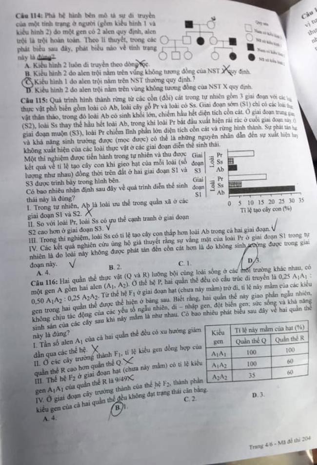 Đề thi môn Sinh Học mã đề 204 - Tốt nghiệp THPT 2024,Đề thi môn Sinh Học Tốt nghiệp THPT 2024