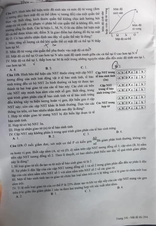 Đề thi môn Sinh Học mã đề 204 - Tốt nghiệp THPT 2024,Đề thi môn Sinh Học Tốt nghiệp THPT 2024