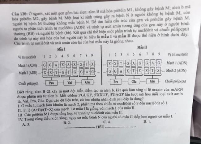 Đề thi môn Sinh Học mã đề 204 - Tốt nghiệp THPT 2024,Đề thi môn Sinh Học Tốt nghiệp THPT 2024