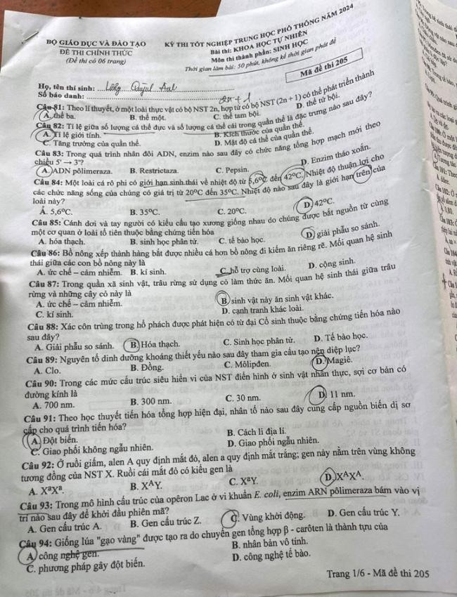 Đề thi môn Sinh Học mã đề 205 - Tốt nghiệp THPT 2024,Đề thi môn Sinh Học Tốt nghiệp THPT 2024