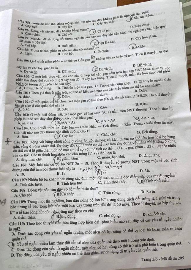 Đề thi môn Sinh Học mã đề 205 - Tốt nghiệp THPT 2024,Đề thi môn Sinh Học Tốt nghiệp THPT 2024