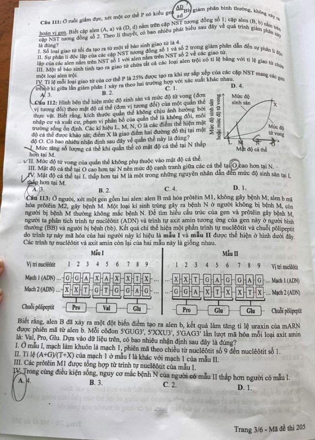 Đề thi môn Sinh Học mã đề 205 - Tốt nghiệp THPT 2024,Đề thi môn Sinh Học Tốt nghiệp THPT 2024