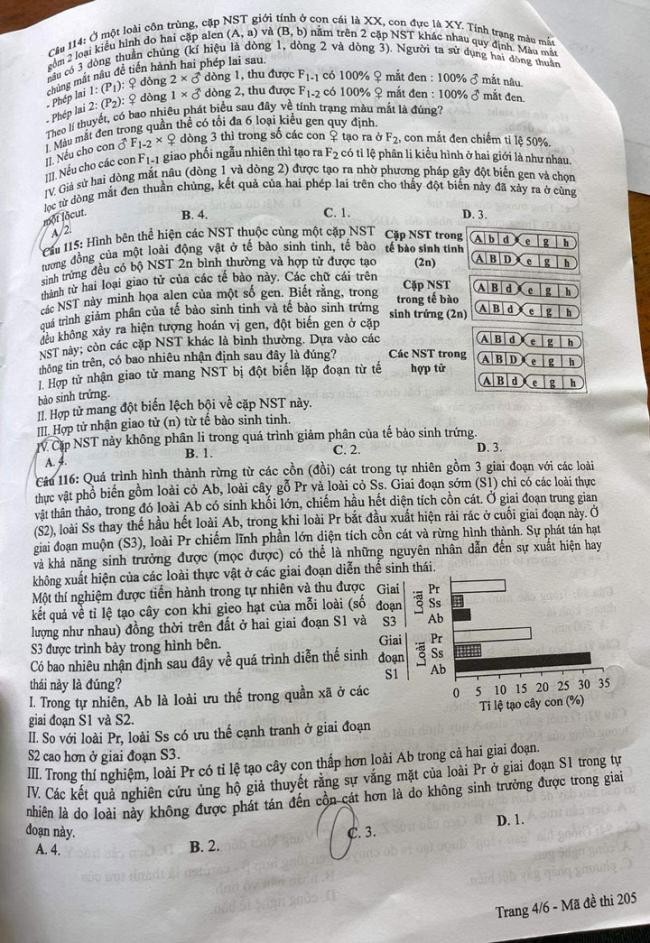 Đề thi môn Sinh Học mã đề 205 - Tốt nghiệp THPT 2024,Đề thi môn Sinh Học Tốt nghiệp THPT 2024