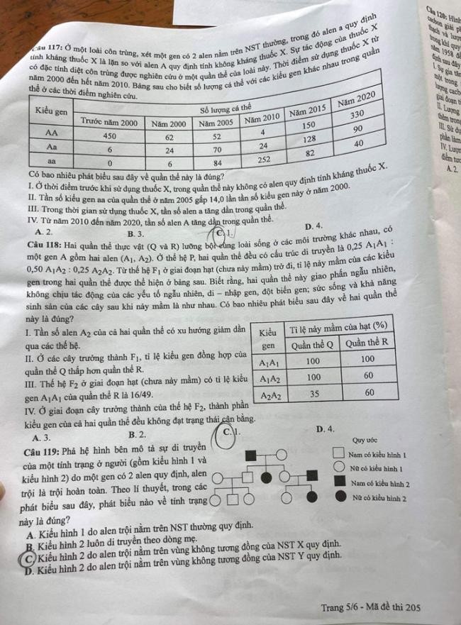 Đề thi môn Sinh Học mã đề 205 - Tốt nghiệp THPT 2024,Đề thi môn Sinh Học Tốt nghiệp THPT 2024