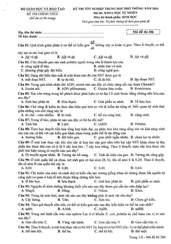 Đề thi môn Sinh Học mã đề 206 - Tốt nghiệp THPT 2024,Đề thi môn Sinh Học Tốt nghiệp THPT 2024