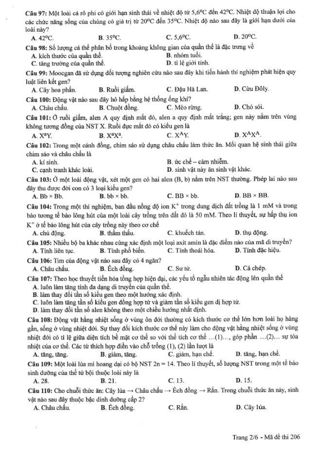 Đề thi môn Sinh Học mã đề 206 - Tốt nghiệp THPT 2024,Đề thi môn Sinh Học Tốt nghiệp THPT 2024