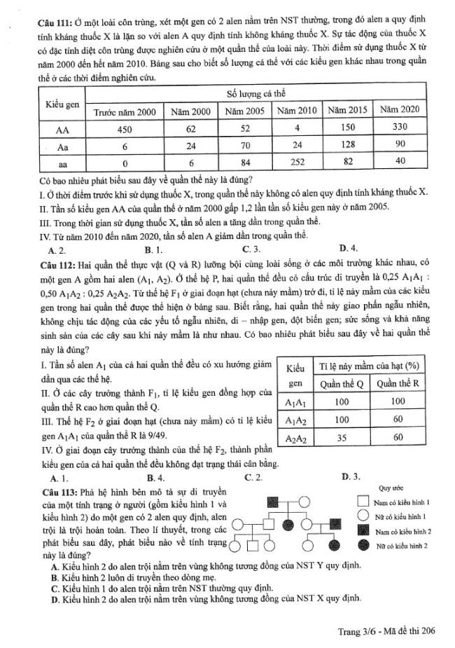 Đề thi môn Sinh Học mã đề 206 - Tốt nghiệp THPT 2024,Đề thi môn Sinh Học Tốt nghiệp THPT 2024